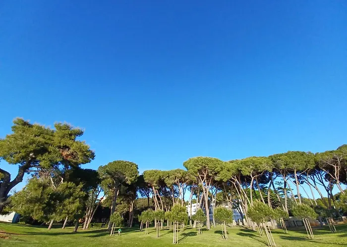 Family Apartments Zadar - Ryanair Exclusive