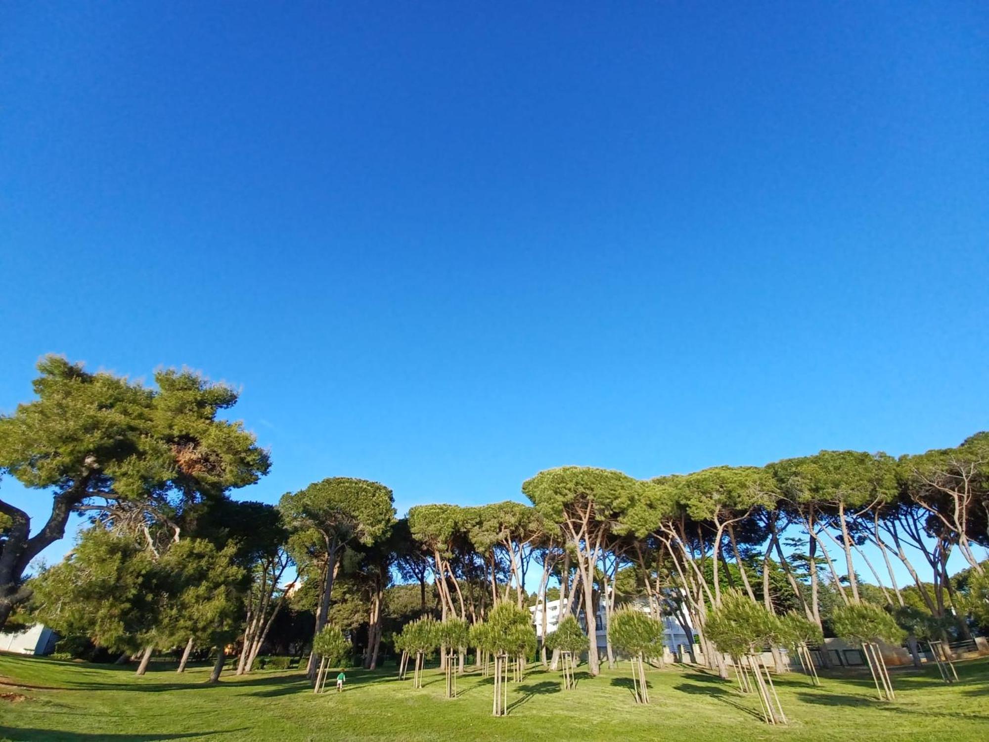 Apartment Family - Ryanair Exclusive Zadar